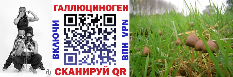 площадка какой сайт  купить наркотик  Лукоянов  Псилоцибиновые грибы прущие грибы 